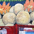 Melons